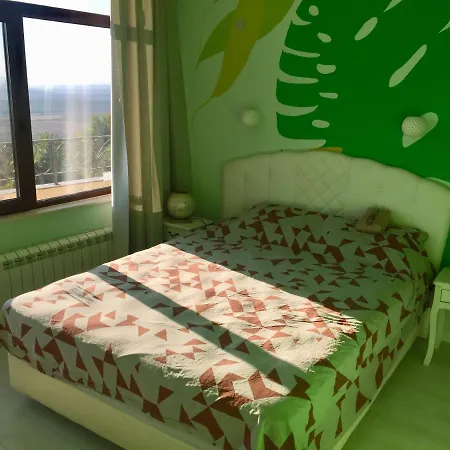 Panorama House Guest house *